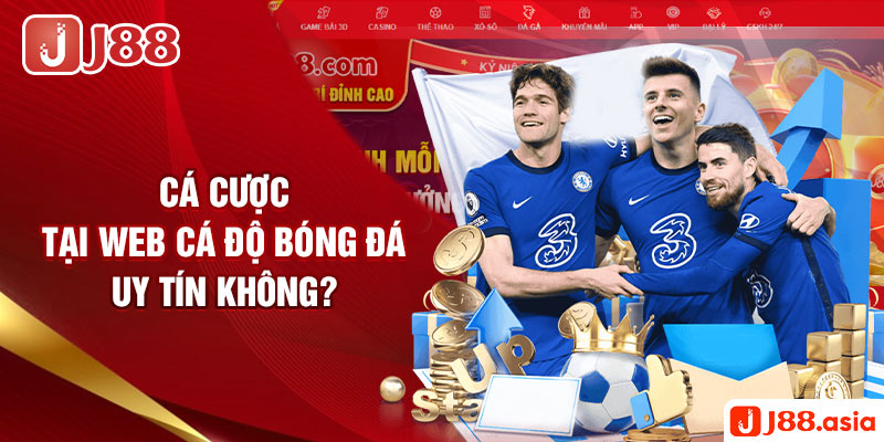 Có nên cá cược tại các nhà cái bóng đá trực tuyến hay không?