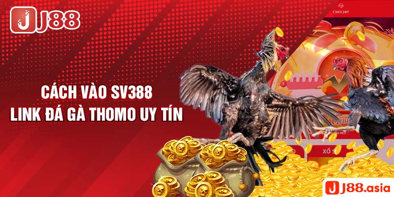 Cách vào SV388 link đá gà thomo uy tín