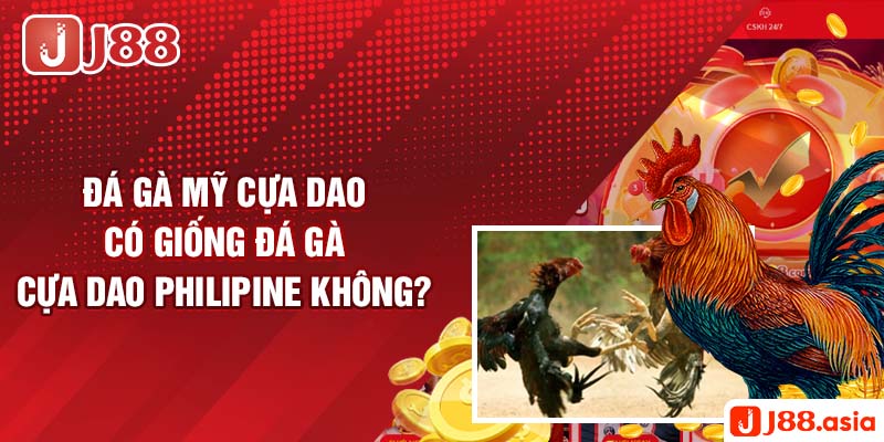 Đá gà Mỹ cựa dao có giống đá gà cựa dao Philipine không?