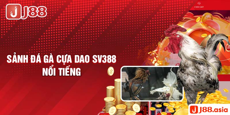 Sảnh đá gà cựa dao sv388 nổi tiếng